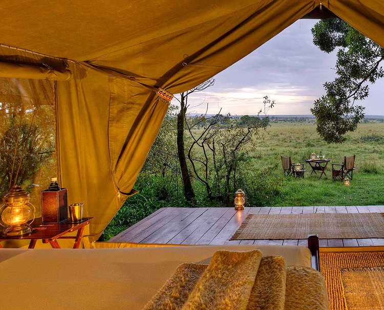 Elephant Pepper Camp 