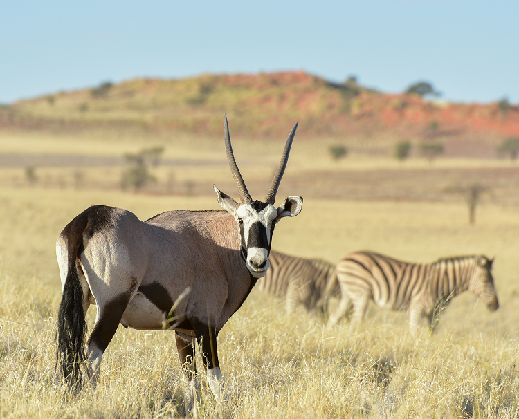 NamibRand Nature Reserve 